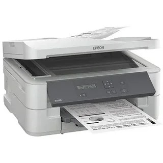 Epson K301