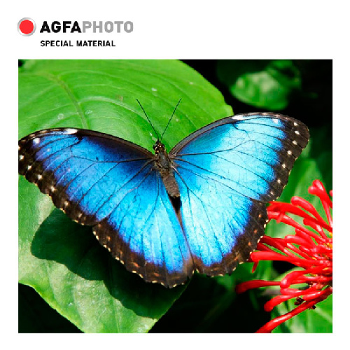 Фотобумага A4, 200 г/м2, 10л, КВАДРАТ,3D,глянцевая AGFA