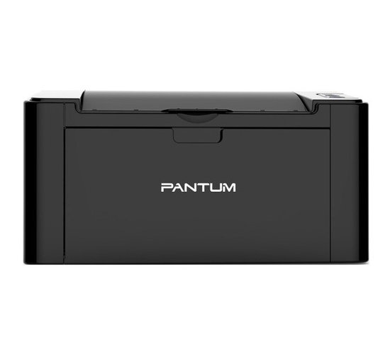 Pantum P2507