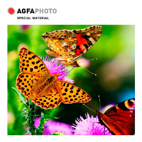 Фотобумага A4, 200 г/м2, 10л, КОШАЧИЙ ГЛАЗ,3D,глянцевая AGFA