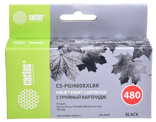 Картридж струйный Cactus CS-PGI480XXLBK PGI-480XLBK черный пигментный (24.4мл)