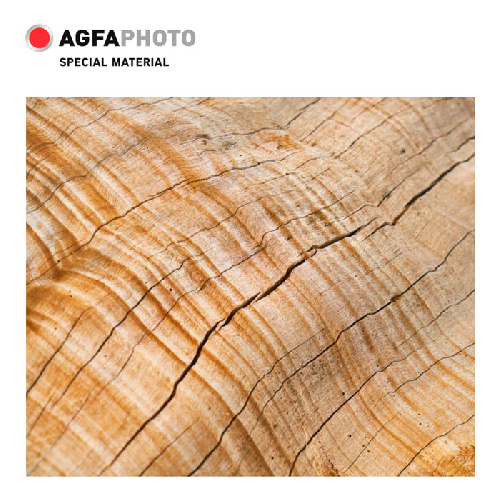 Фотобумага фактурная A4, 260 г/м2, 10л, ДУБ, AGFA