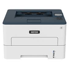Xerox C310