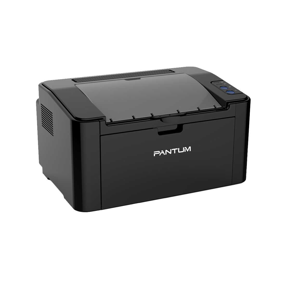 Pantum P2516