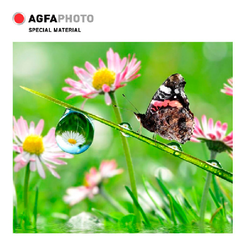 Фотобумага A4, 200 г/м2, 10л, ЗВЕЗДА,3D,глянцевая AGFA