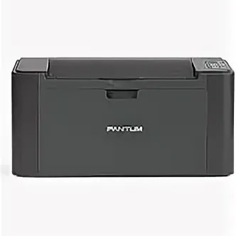 Pantum P2502