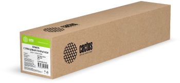 Бумага Cactus CS-PG180-61030