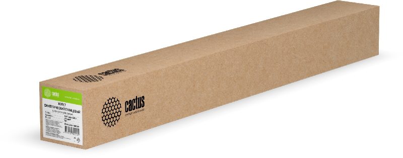 Холст Cactus CS-GC260-106730