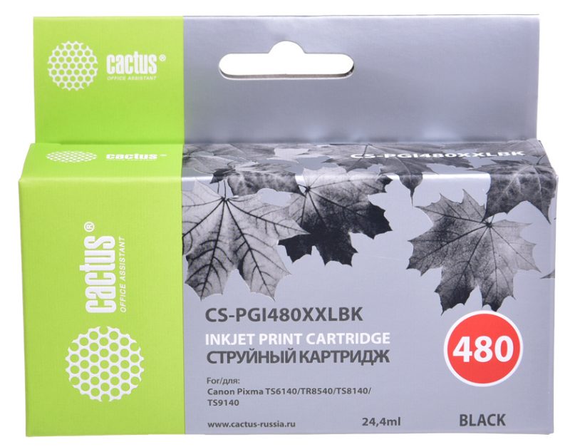 Картридж струйный Cactus CS-PGI480XXLBK PGI-480XLBK черный пигментный (24.4мл)